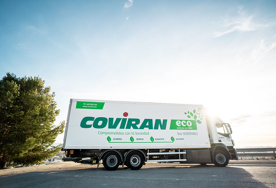 Rutas logísticas más eficientes